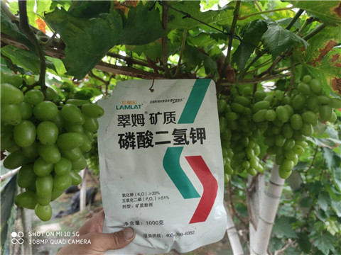 磷酸二氫鉀，拉姆拉