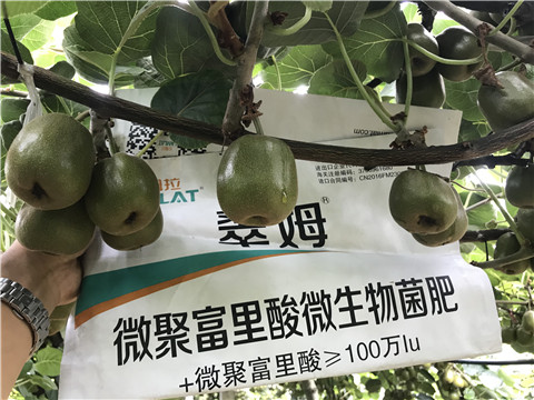 微生物菌劑，翠姆，拉姆拉