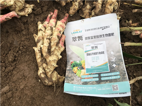 微生物菌劑，翠姆，拉姆拉