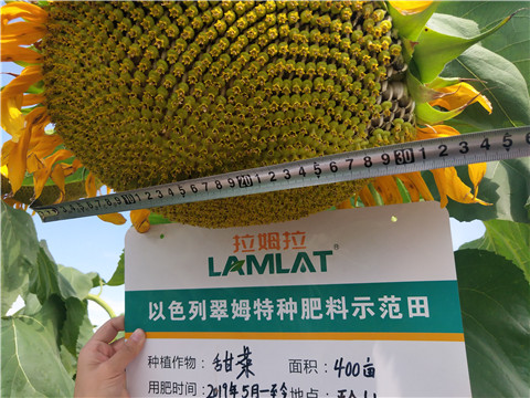 水溶肥，微生物菌劑，拉姆拉