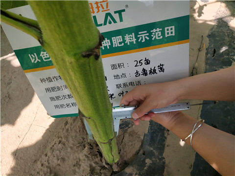 水溶肥，微生物菌劑，拉姆拉