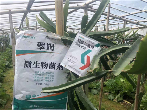 磷酸二氫鉀，翠姆，拉姆拉