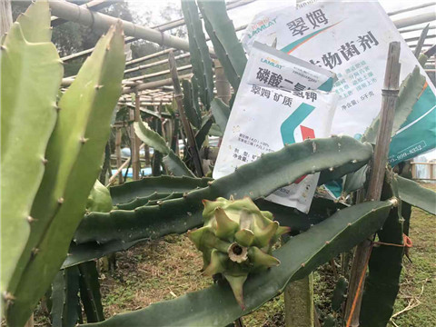 磷酸二氫鉀，翠姆，拉姆拉