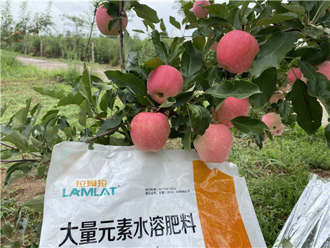 水溶肥，翠姆，拉姆拉