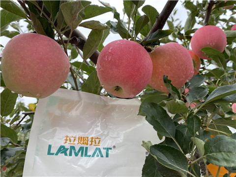 水溶肥，翠姆，拉姆拉