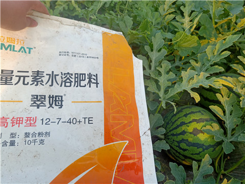 水溶肥，拉姆拉，翠姆