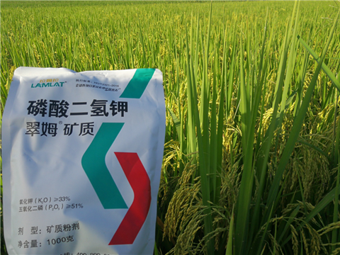 葉面肥，水稻灌漿肥，拉姆拉
