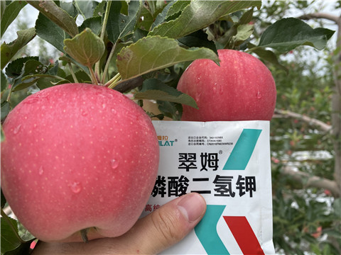 高鉀水溶肥，磷酸二氫鉀，拉姆拉，翠姆