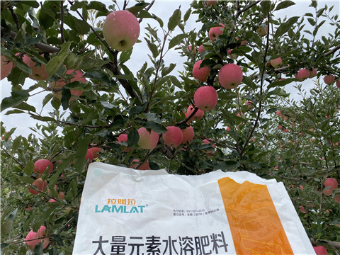 進(jìn)口水溶肥品牌，拉姆拉，翠姆