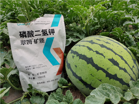 進(jìn)口水溶肥，翠姆，拉姆拉