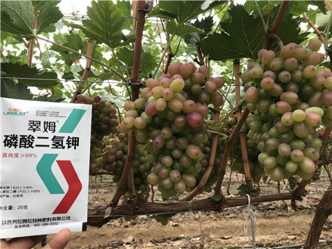 進(jìn)口水溶肥，拉姆拉