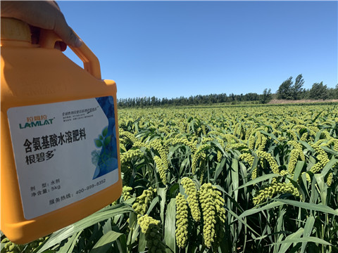 磷酸二氫鉀，拉姆拉，翠姆