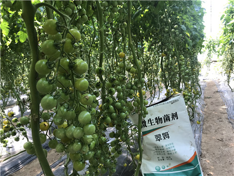 微生物菌劑，磷酸二氫鉀，翠姆，拉姆拉