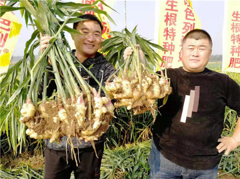水溶肥，翠姆，拉姆拉