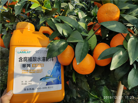 水溶肥，翠姆，拉姆拉