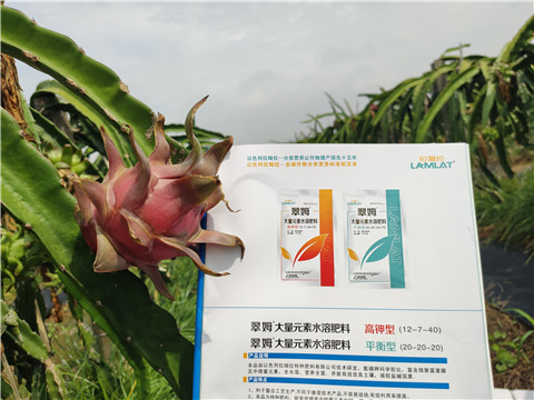 進(jìn)口水溶肥，拉姆拉，翠姆