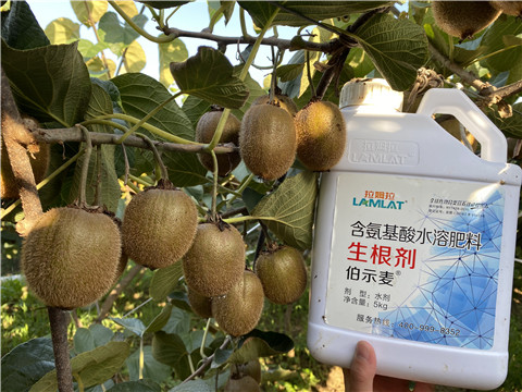 水溶肥，拉姆拉