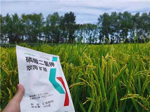 磷酸二氫鉀，拉姆拉，翠姆