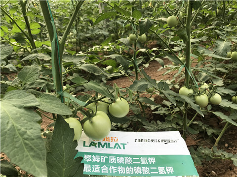 磷酸二氫鉀，拉姆拉，翠姆