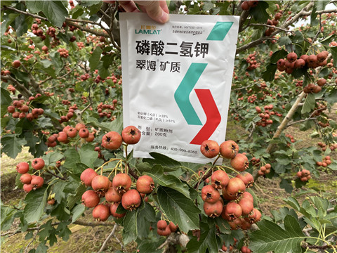 磷酸二氫鉀，拉姆拉，翠姆