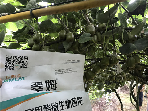 微生物菌劑，平衡顆粒復(fù)合肥，翠姆，拉姆拉
