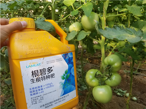 葉面肥，磷酸二氫鉀，微生物菌劑，翠姆，拉姆拉
