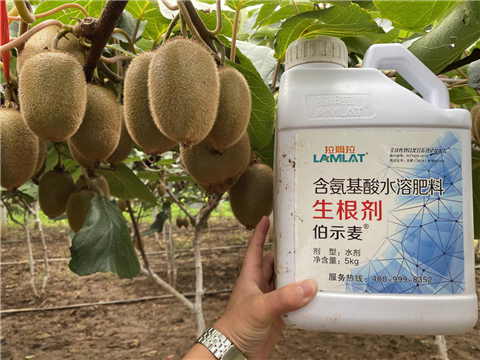 水溶肥，生根劑，微生物菌劑，伯示麥，拉姆拉