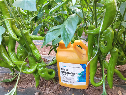 水溶肥，拉姆拉