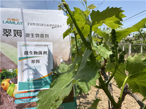 微生物菌劑，拉姆拉，翠姆