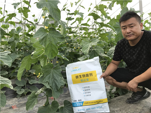 水溶肥，拉姆拉