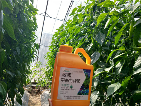 滴灌肥，拉姆拉，翠姆