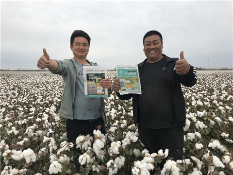 棉花，水溶肥，拉姆拉，翠姆