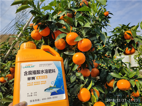 水溶肥，拉姆拉，翠姆