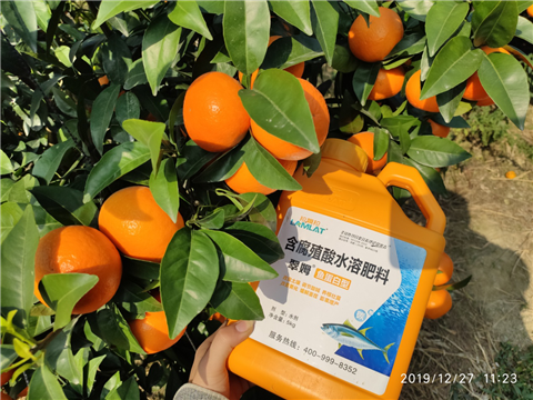 水溶肥，拉姆拉，翠姆