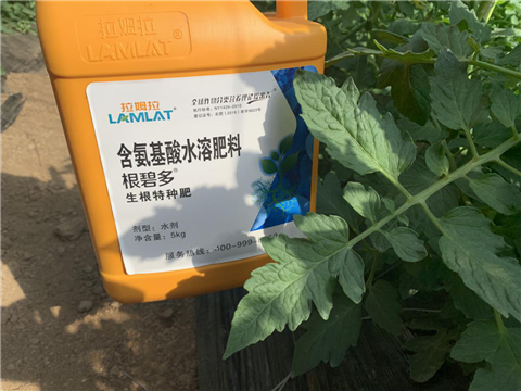 水溶肥，拉姆拉，翠姆