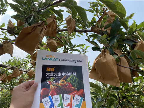 大量元素水溶肥，拉姆拉，翠姆