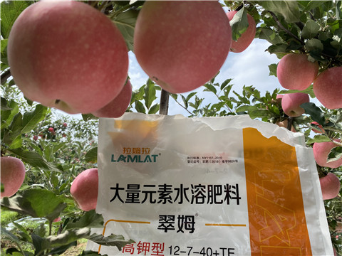 大量元素水溶肥，拉姆拉，翠姆