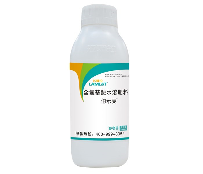 葉面肥，拉姆拉，伯示麥
