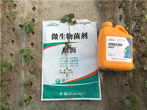 水溶肥，拉姆拉，翠姆