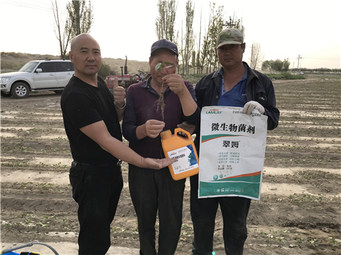 水溶肥，拉姆拉，翠姆