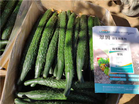 微生物菌劑，拉姆拉，翠姆