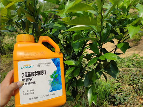 沖施肥，拉姆拉，翠姆