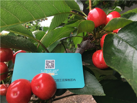大量元素水溶肥，拉姆拉，翠姆