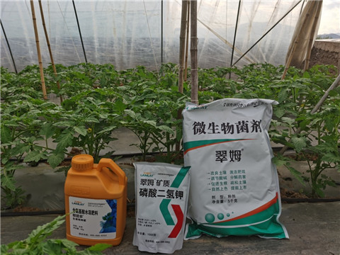 水溶肥，拉姆拉，翠姆