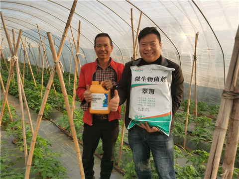 水溶肥，拉姆拉，翠姆