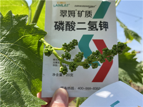磷酸二氫鉀，拉姆拉，翠姆
