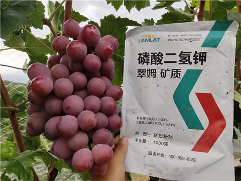 磷酸二氫鉀，拉姆拉，翠姆