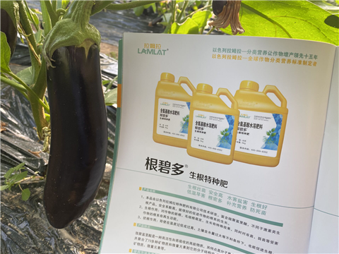 水溶肥，拉姆拉，翠姆