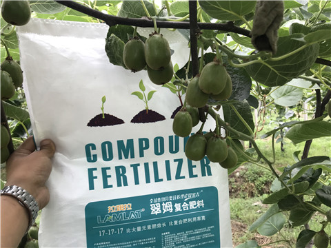 顆粒水溶肥，拉姆拉，翠姆