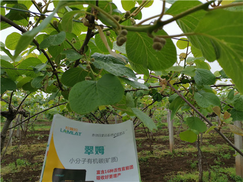 小分子有機碳，拉姆拉，翠姆